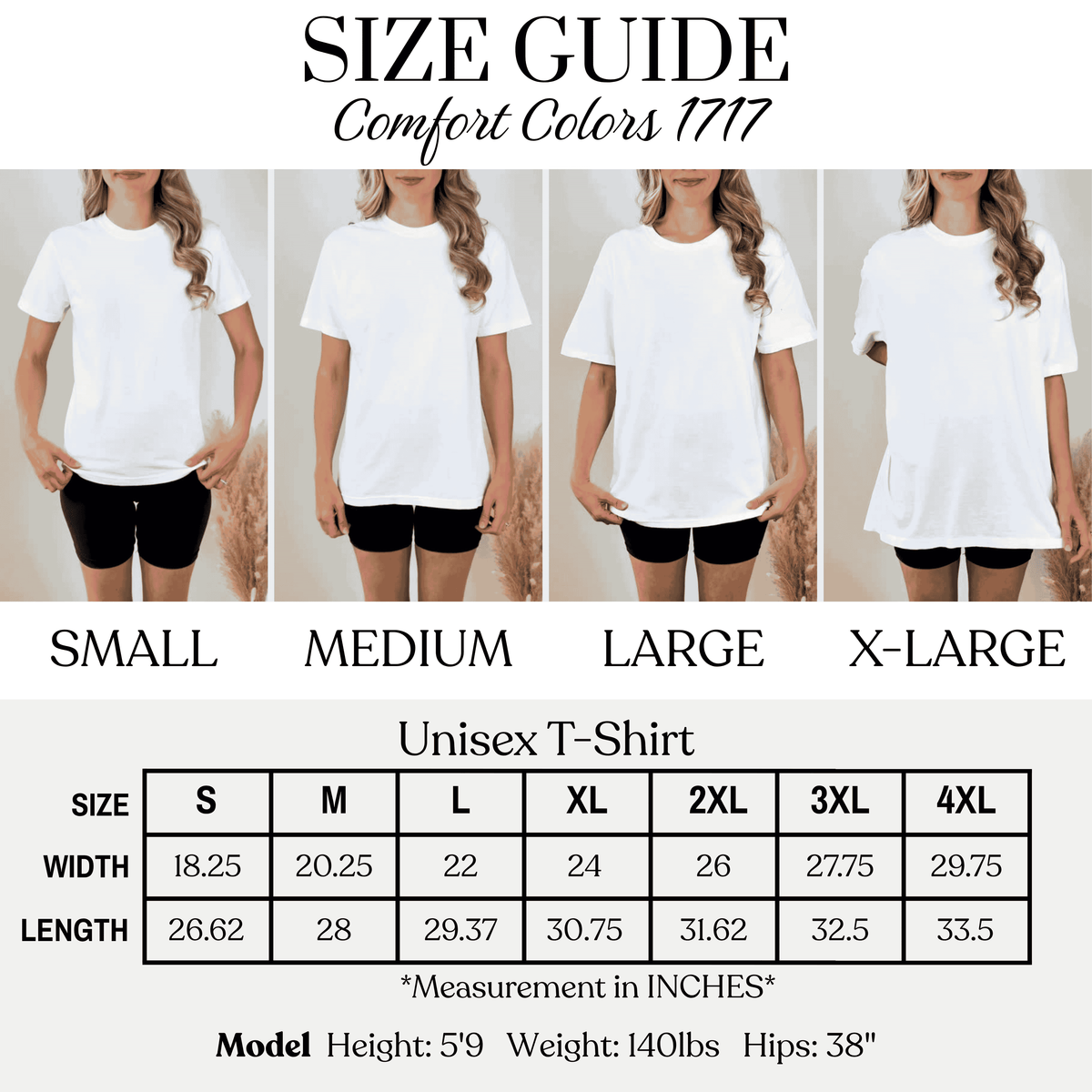 Comfort Colors 1717 unisex T-shirt size guide with measurements for sizes S through 4XL